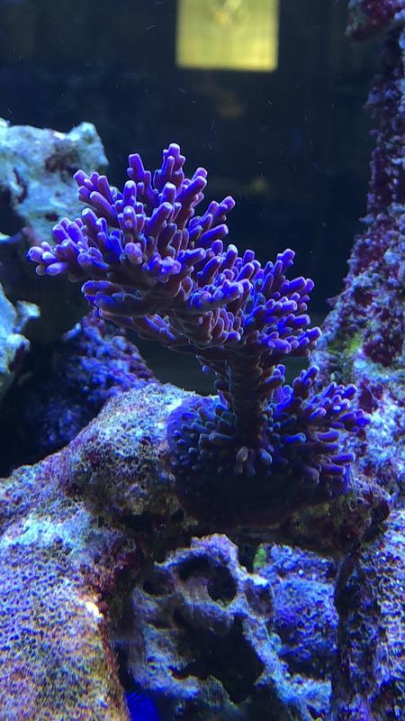 CBFBAD89-0DD5-443C-A373-7C8634C953C9