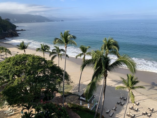 [Image: 5569-DCBD-9-A7-E-41-DB-839-C-2-FF214-D45-D99.jpg]