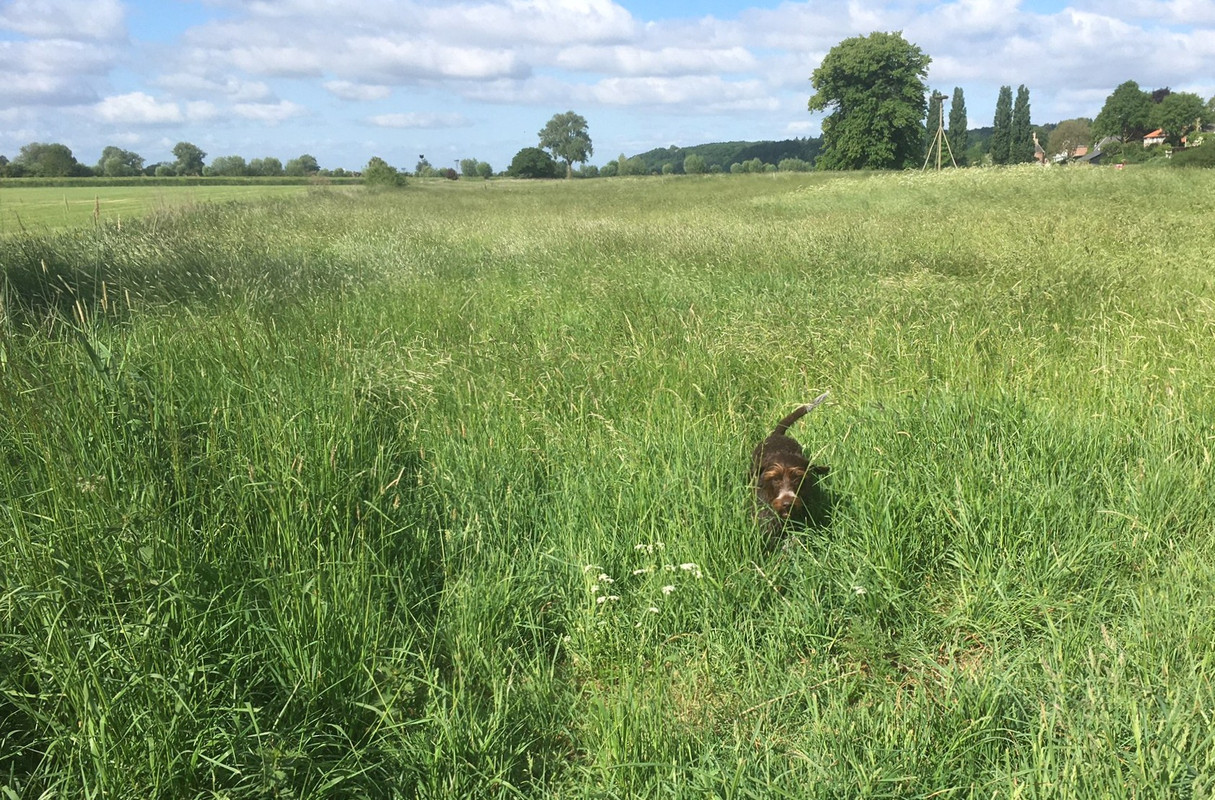 2025-16-05 Uiterwaarden met Claire IMG_4942 (002)