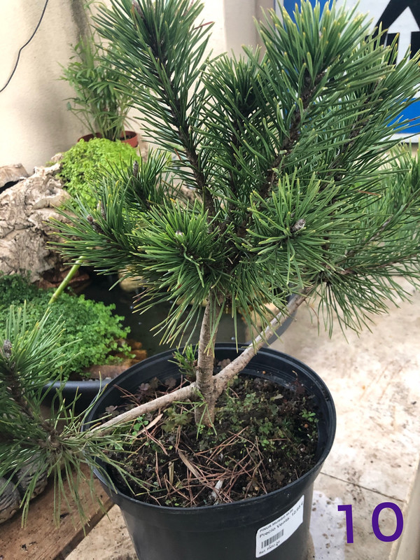 A085D97D-9F49-454A-A202-8EC1EC335FF6