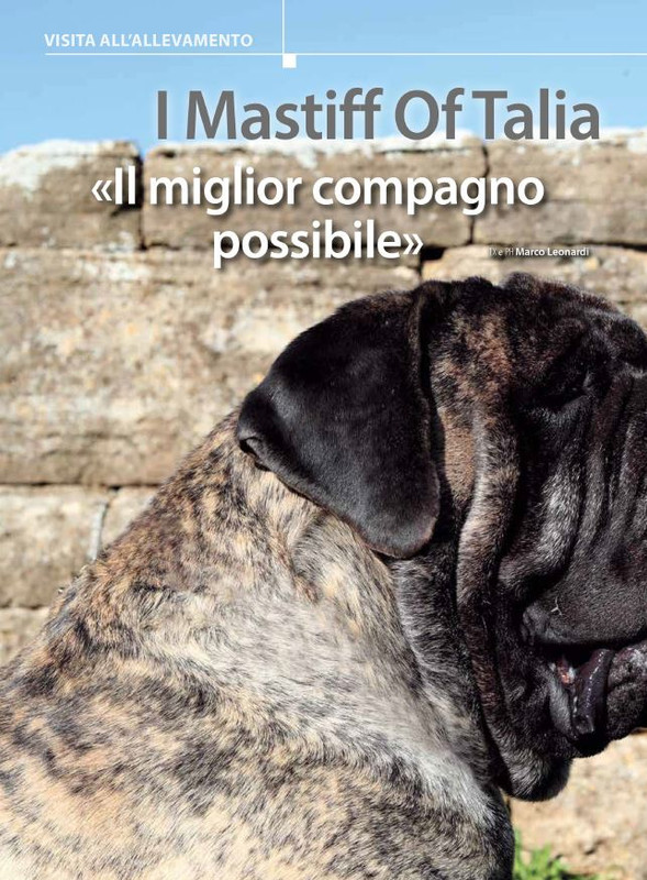 Il M C Set-Ott 2024 (11)