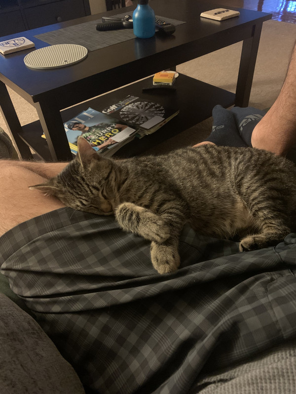 BC3A4125-E5F3-4875-B2EC-ED428D6FB411