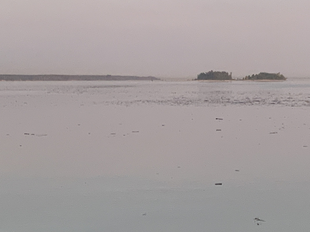 IMG-6255.jpg