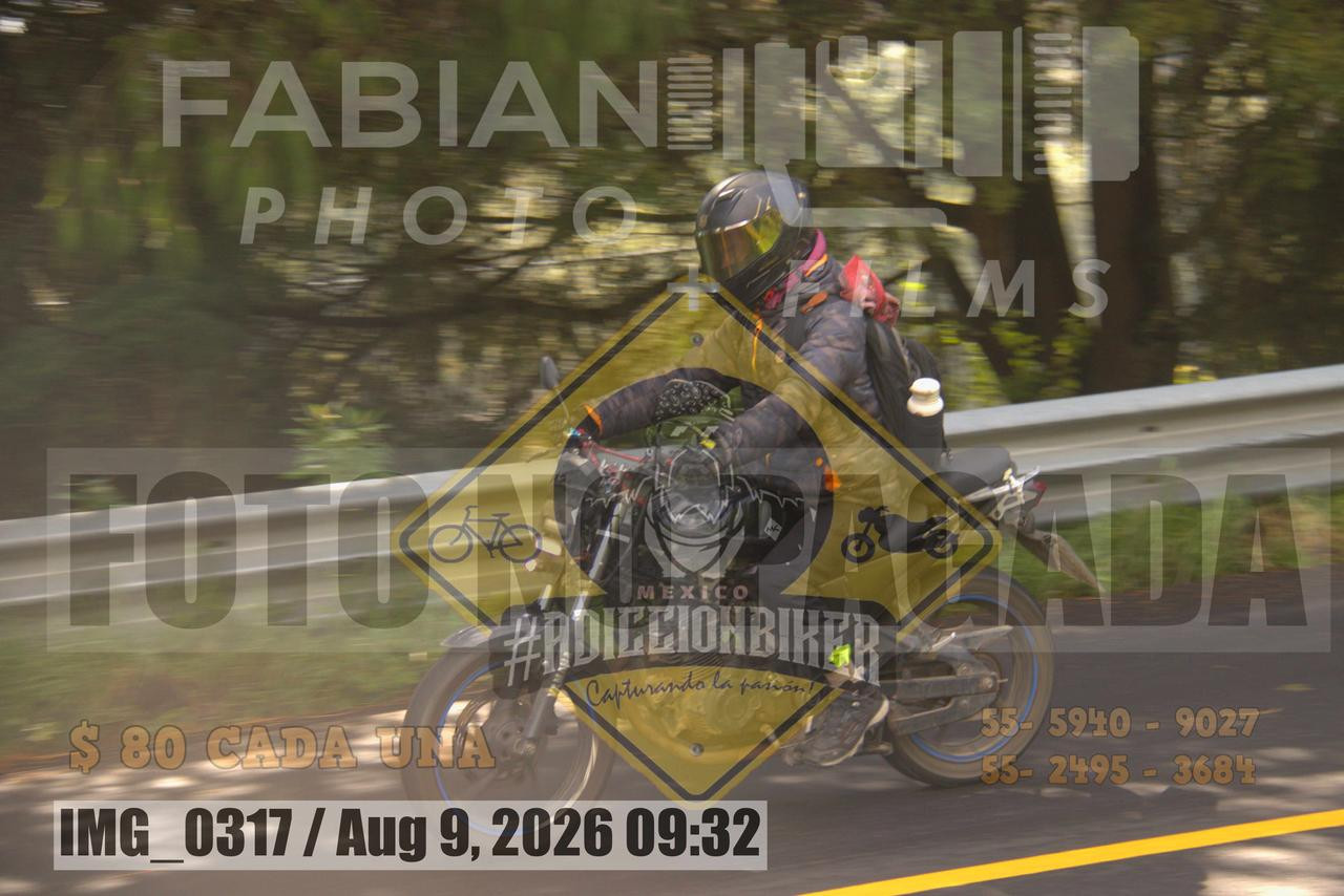 IMG 0317