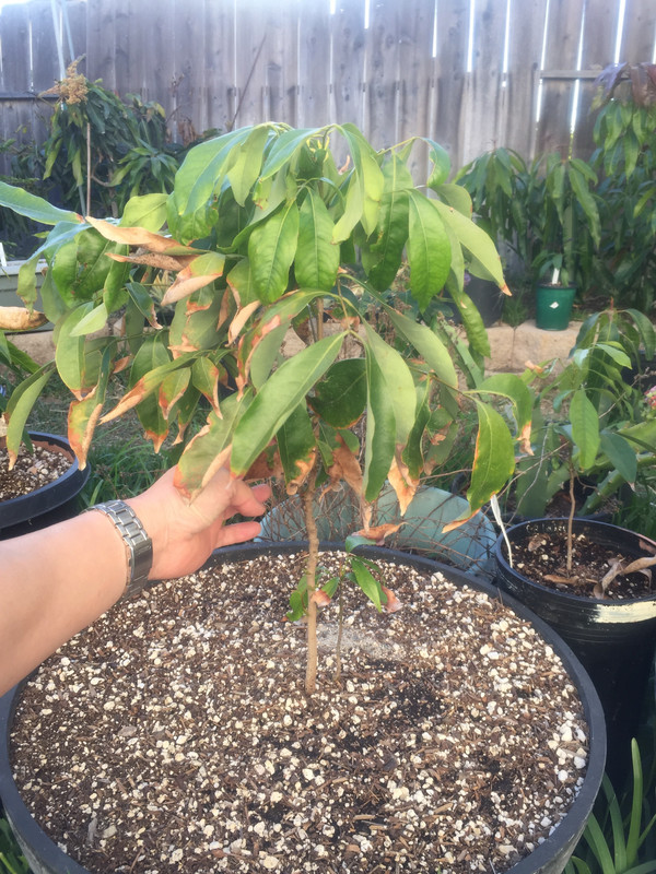 58368566-FDC6-46DD-BACE-3AE67B439456