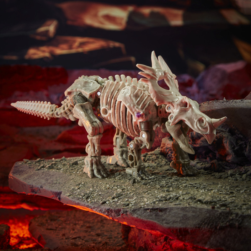 F0674-Deluxe-Ractonite-001