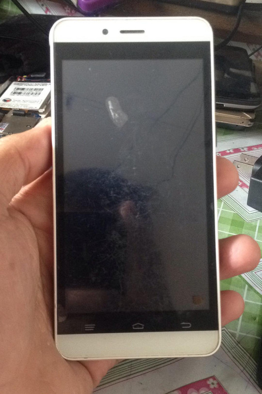 40579250_247073549481980_2775063019456036864_n