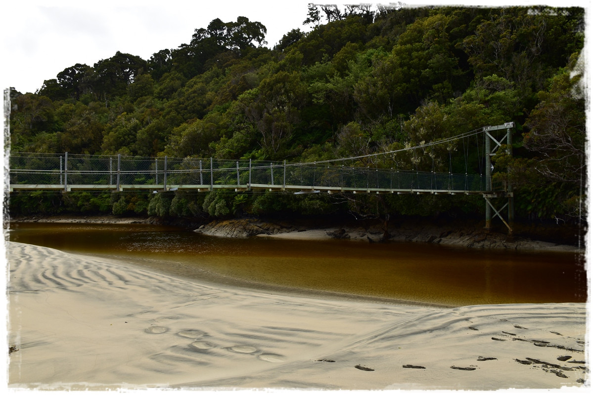 Escapadas y rutas por la Nueva Zelanda menos conocida - Blogs de Nueva Zelanda - Stewart Island:  kiwis, Coast to Coast y unos días en Oban (febrero 2021) (39)