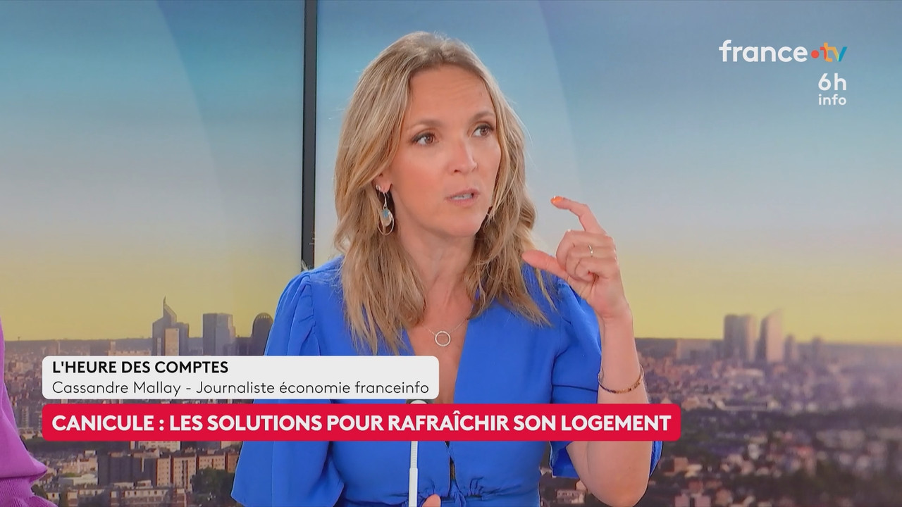 Le 6h info (France 2) 2026 06 20 04 55 67 ts snapshot 23 01 002