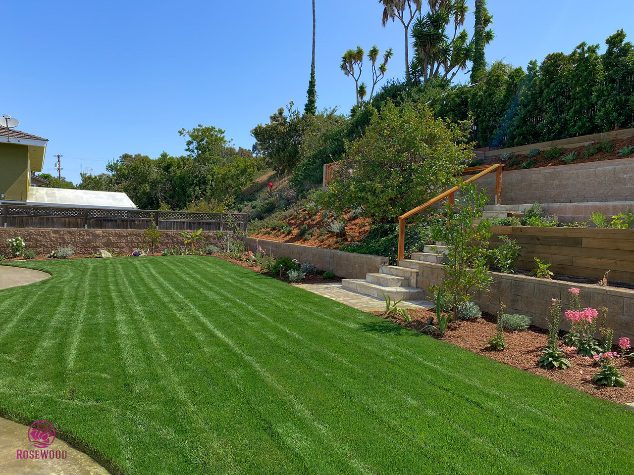 Hillside landscaping with lawn, retaining walls, steps and planting in Palos Verdes