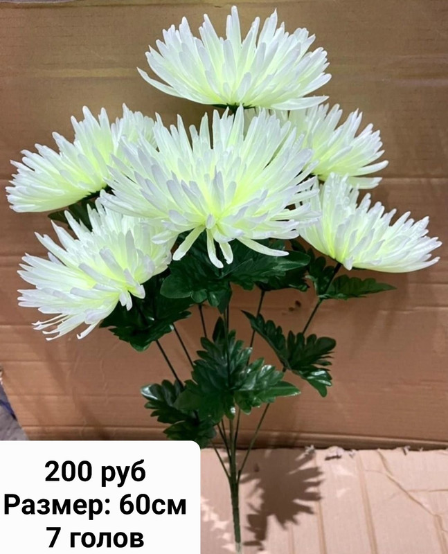 https://i.postimg.cc/W4DW9YVv/IMG-20230222-002716.jpg