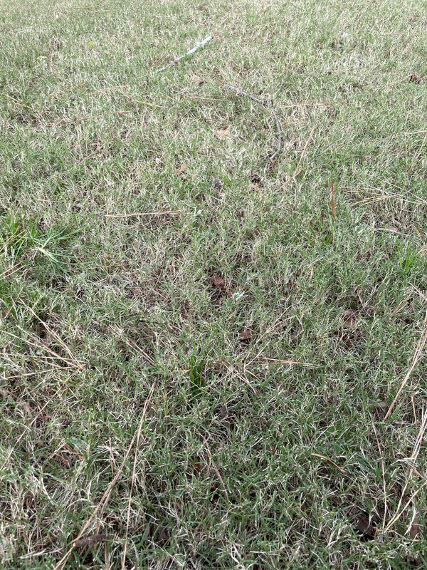 4005A577-A1F0-4477-8598-7D3D8F9FA651