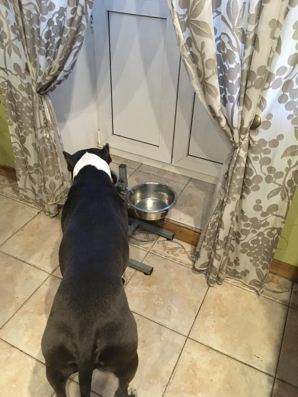 BFCB190B-7648-413B-80BE-D10468DED801