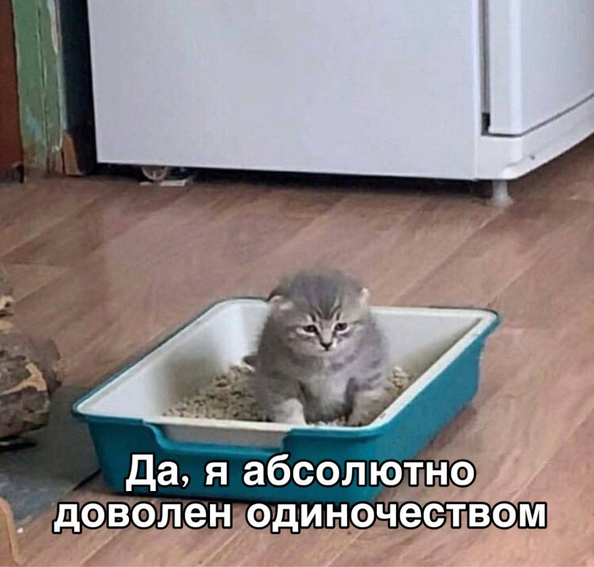 b8d16a12-69bc-492a-8670-b3d5875fb95a