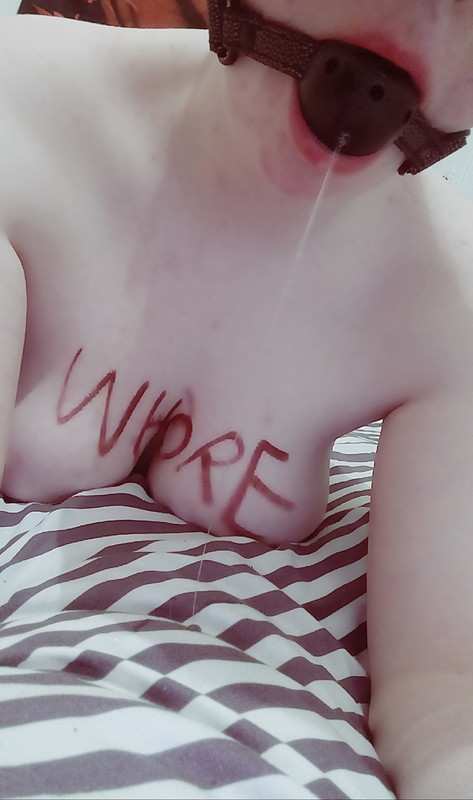 1698746482940036-3