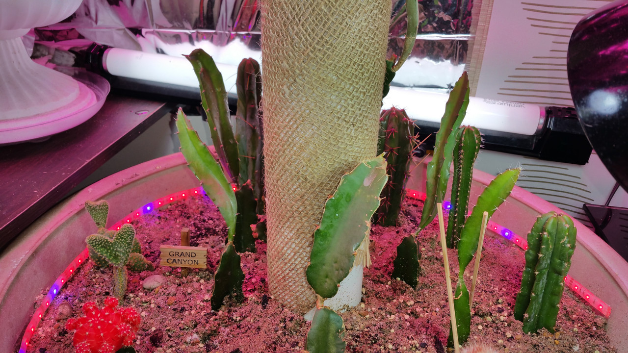20150512_024140