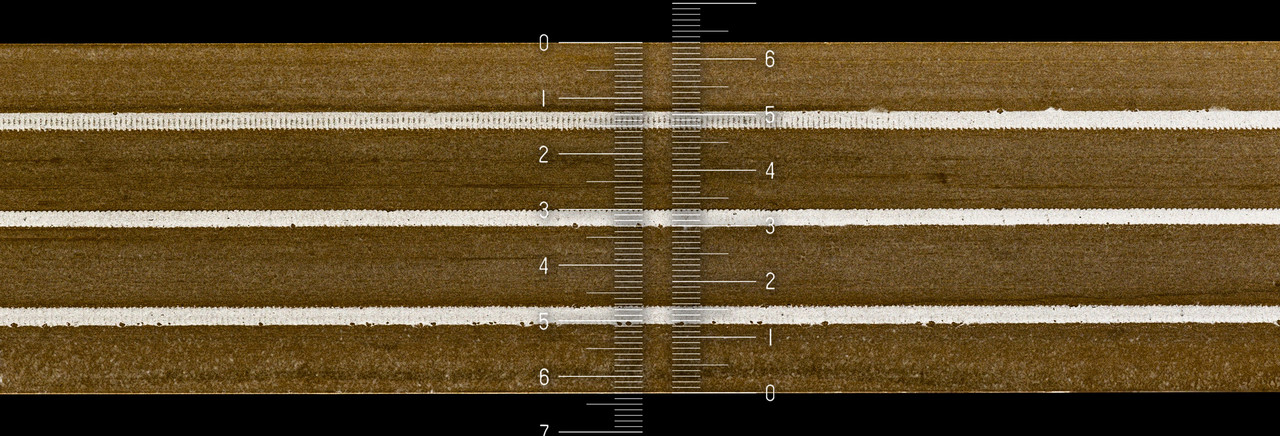 06 A77 1-4Spur (5) - Vollspuraufzeichnung, Rasen nach Löschen