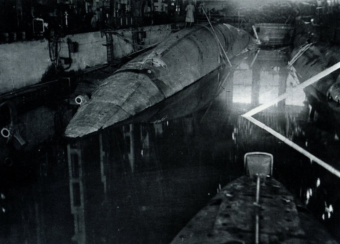 щуки в эллинге