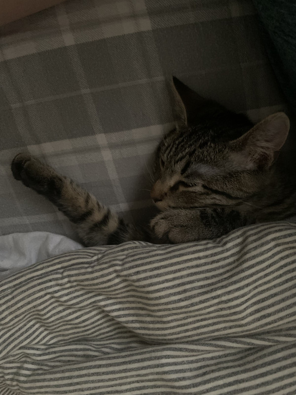 E35D9EC1-69B0-490C-8F27-76849D99DEF7