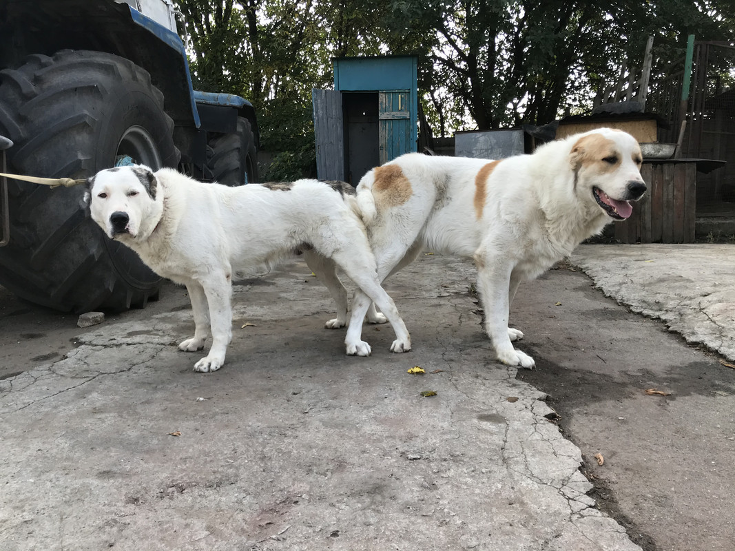 38B0AB16-EEB7-4D4A-8DB5-F0A49E43FA9B