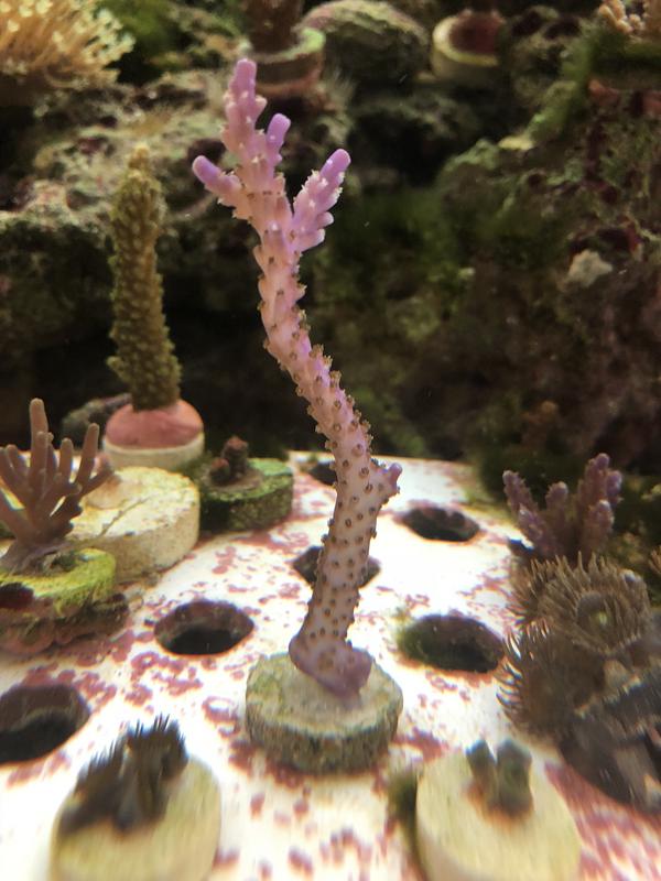 9A117B6E-A233-4557-89F7-ED94A1BDD2E1