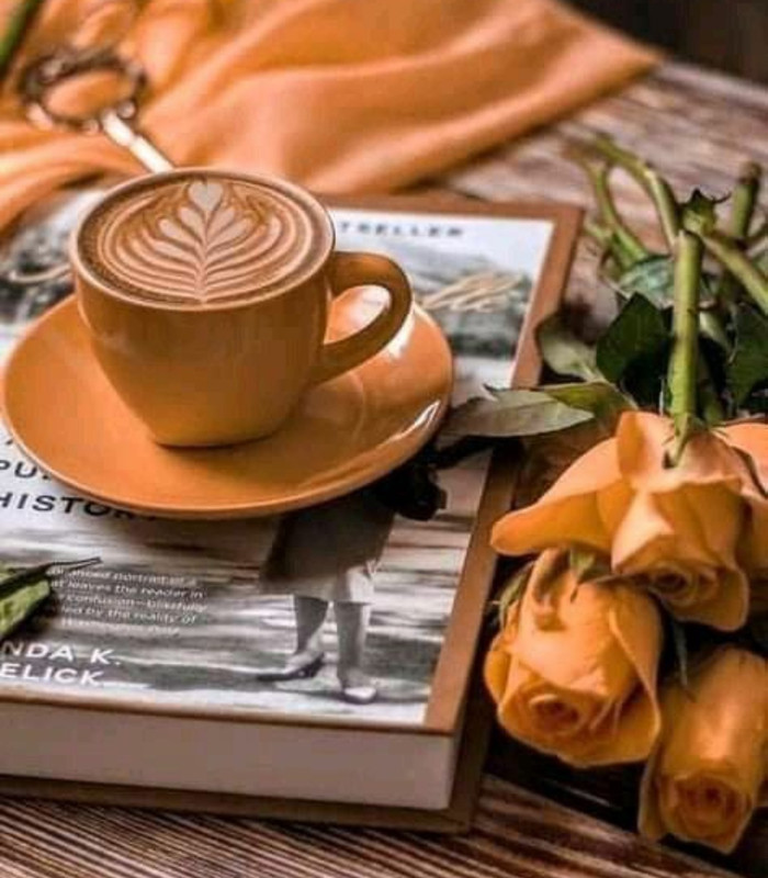 Screenshot_20230124_002106_Chrome