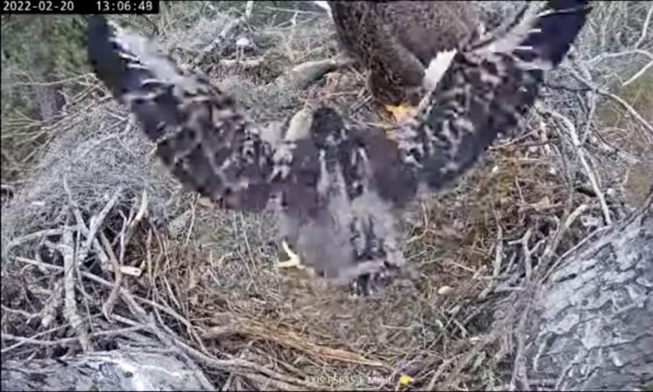 3B4DA964-89D9-4CB8-A540-A7E2FB6B080B