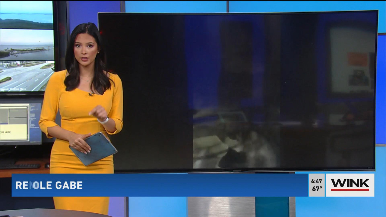 05.23 - 11.00.00 - WINK News @ 6 00AM Sunday. Local news, sports and ....ts_snapshot_46.54_[2021.05.