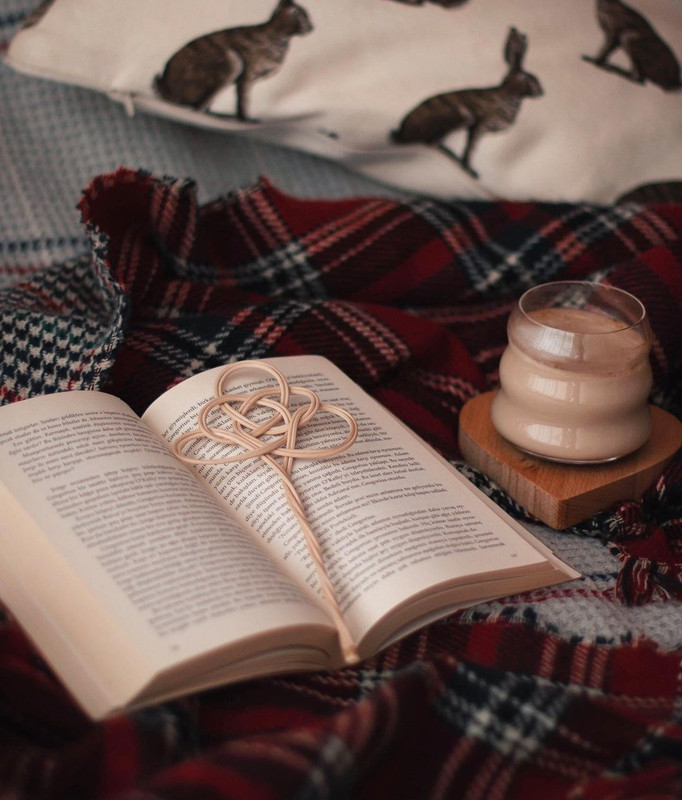 Screenshot_20231203_231757_Instagram