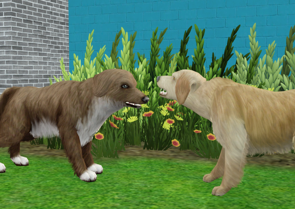 Sims2-EP9-RPC-2022-02-06-16-43-28-21