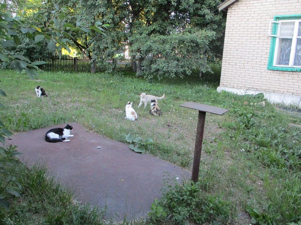 IMG-6957.jpg