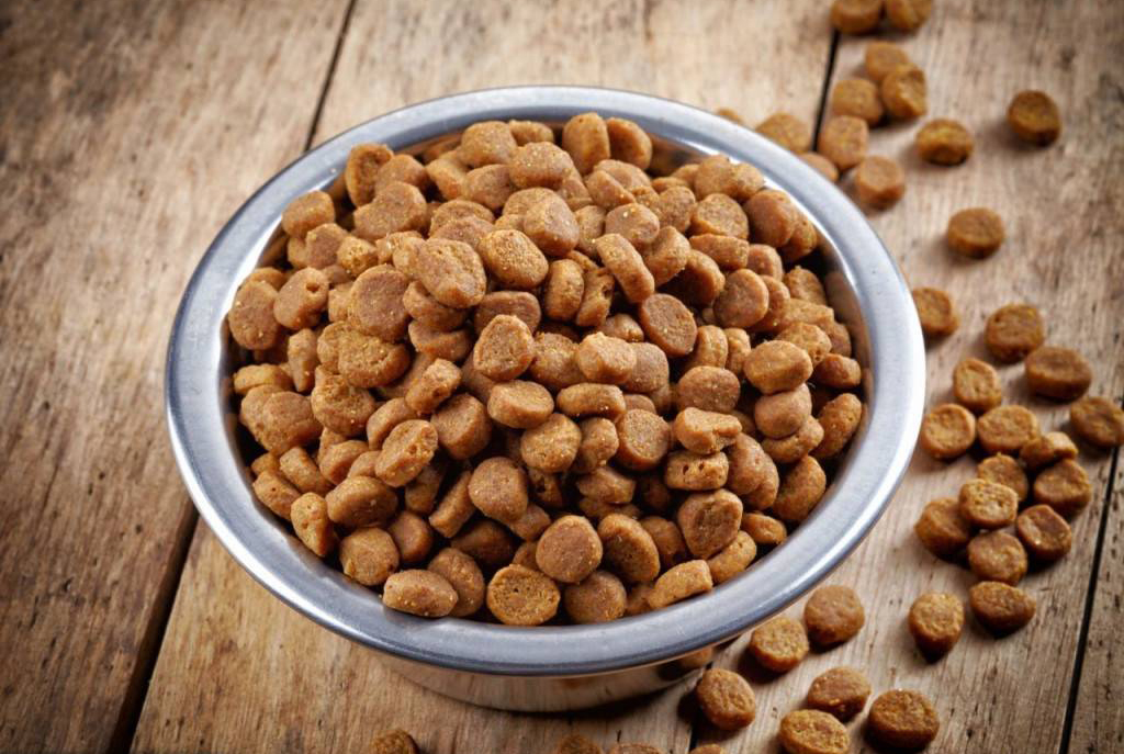 Понимание классов и выбор лучшего корма для вашего друга