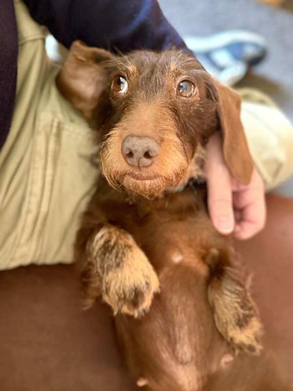 [Image: IMG-0041.jpg]