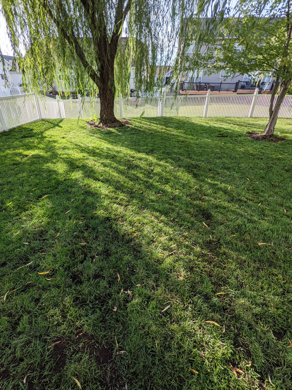 PXL_20210905_215118297