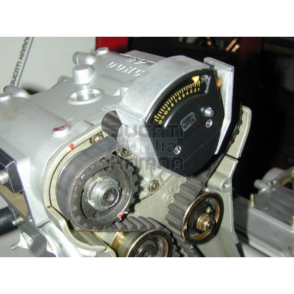 F434A354-E1DE-423B-AB91-EFEA07A290AF