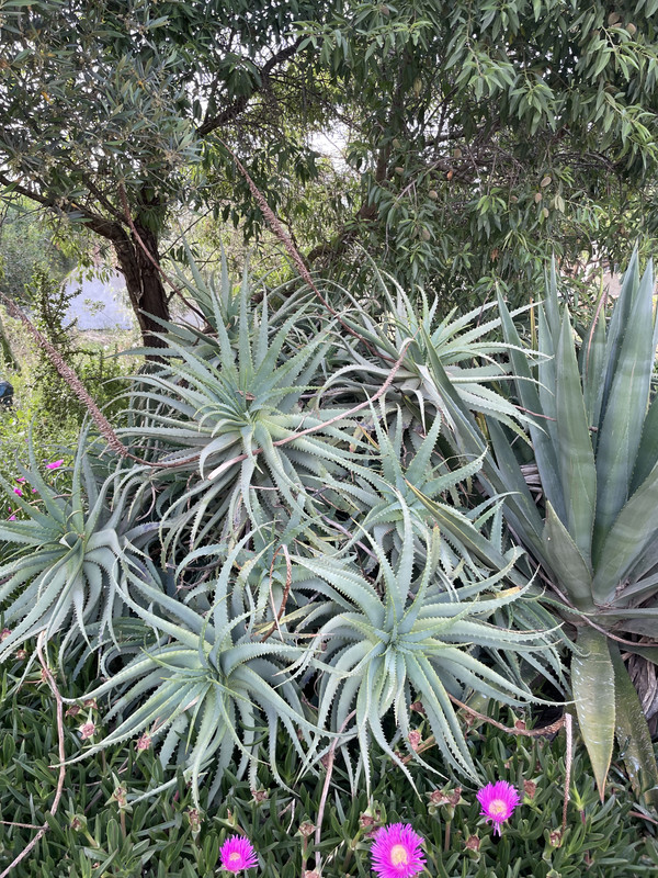 7F4FC490-857F-4CCA-AC6F-3D8B79D2D4A8