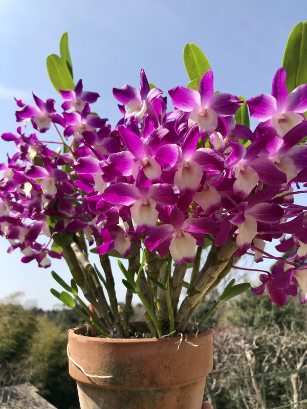 E6DC70D3-5F31-4FFF-8719-D6CF42FDD11C