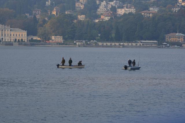 DSC_0537_6000x4000