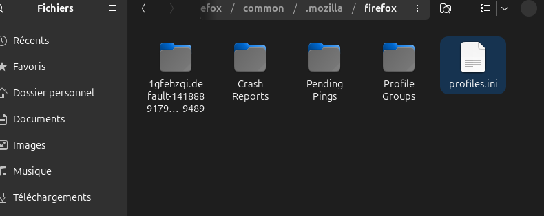 Capture d écran du 2026 01 29 22 57 45
