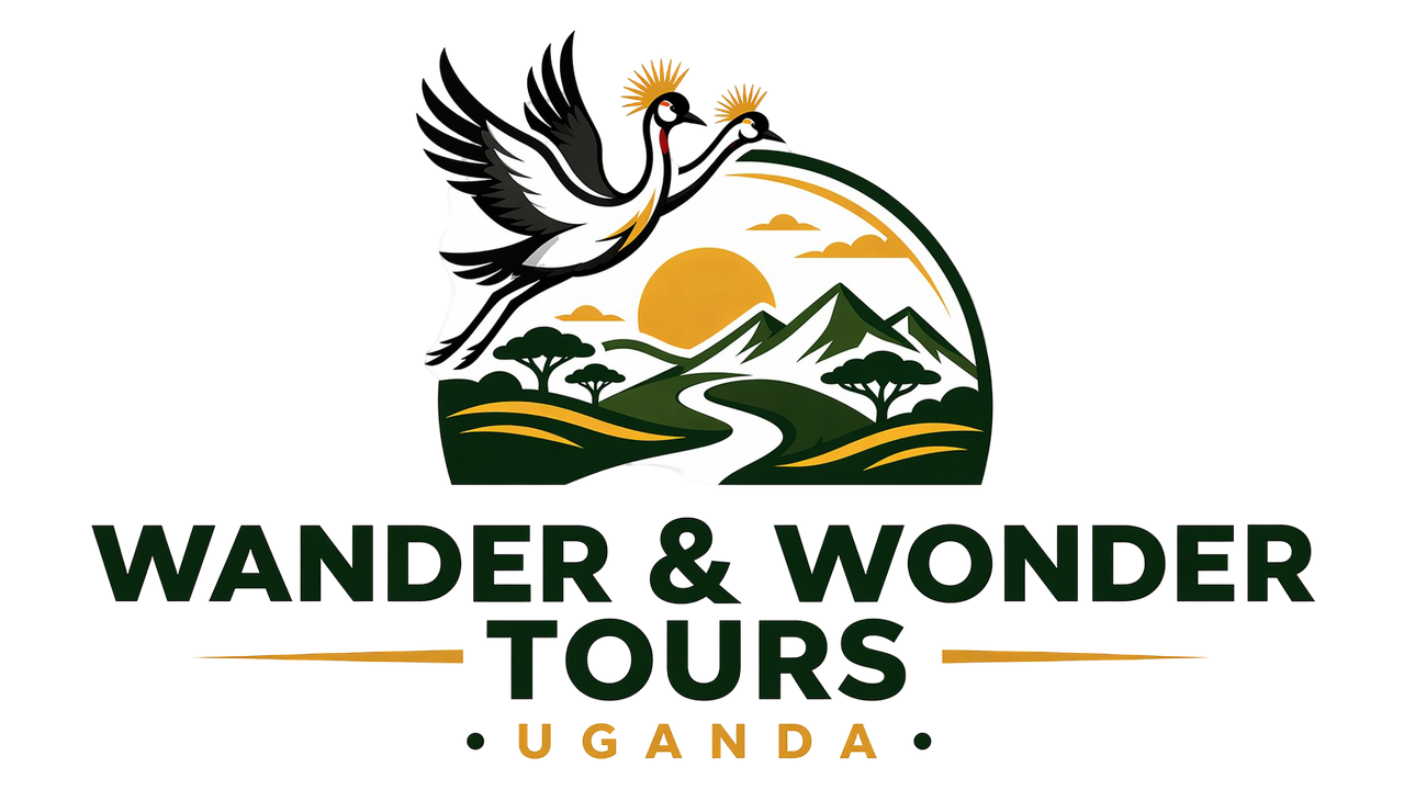 Wander and Wonder Tours