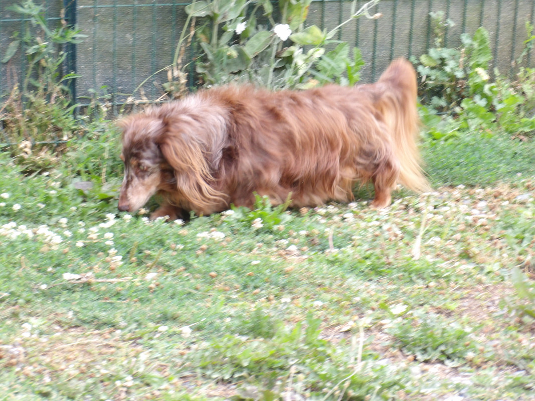 [Image: 125-0033.jpg]