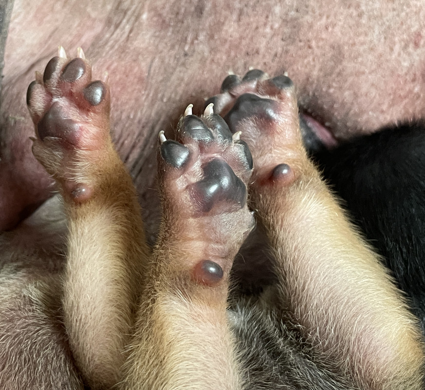 C5BBE5DB-E488-4F83-9C30-79B207ED2F0E_1_201_a