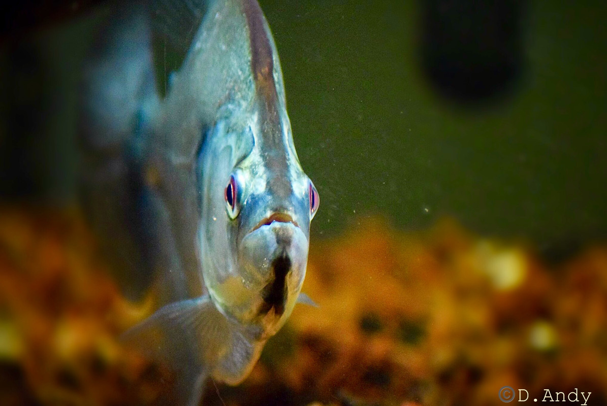 EBD7FEAD-5172-4E48-A1A4-877C544826D7