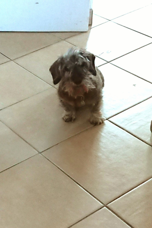 [Image: DSC-2034.jpg]