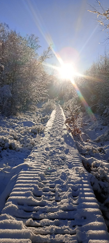 Photo 2025 11 22 001 Saint Hubert Céline Nicolas