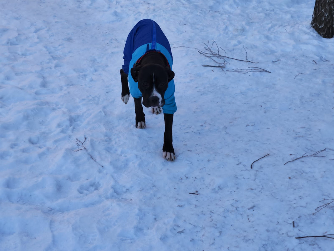 3A8F6002-3E16-4A3A-A4A7-47557C05CD6B