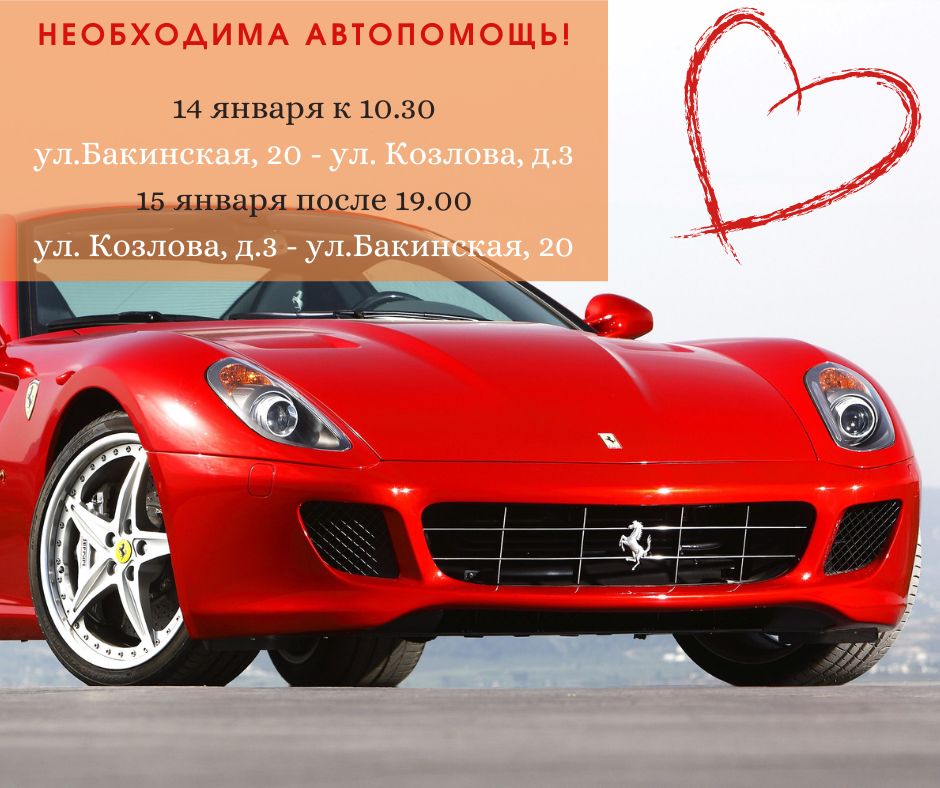 Оранжевая Простая Цитата о Кошках Публикация в Facebook