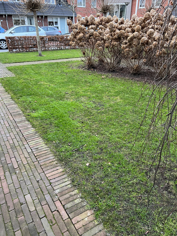 87A2C967-2CDF-4BC5-8AB6-6848EF8100CE