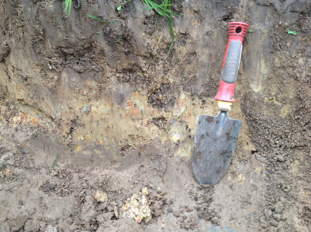 Komposter zügeln Fargesia setzen 24. 25.10 (4)