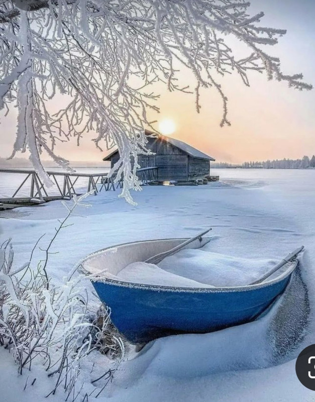 Screenshot_20240130_194749_Pinterest